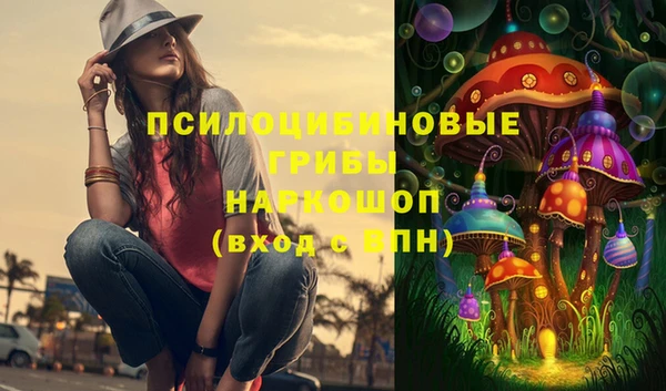 дмт Алексеевка