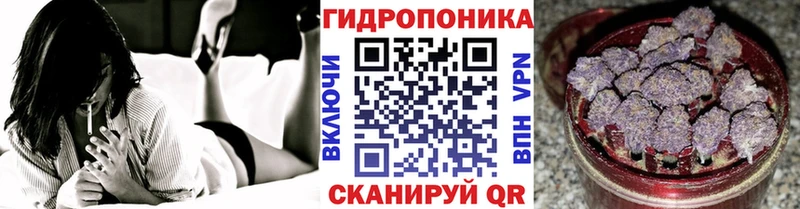 Бошки марихуана план Бирюч